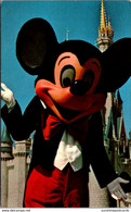 Florida Walt Disney World Mickey Mouse - Disneyworld