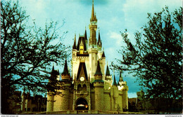 Florida Walt Disney World Fantasyland Cinderella Castle - Disneyworld