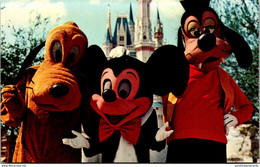 Florida Walt Disney World Mickey Mouse Pluto And Goofy - Disneyworld