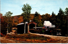 New Hampshire White Mountains Passenger Trail Entering 120 Foot Covered Railroad Bridge - White Mountains