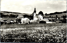 35034 - Steiermark - St. Jakob Im Walde , Panorama - Gelaufen 1969 - Hartberg