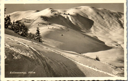 35154 - Salzburg - Dienten Am Hochkönig , Kollmannsegg - Gelaufen 1951 - Dienten