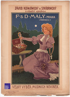 F & D Maly Praha - Lithographie Les Maîtres De L'Affiche 1900 Chaix - Reisner - Prague Femme Art Nouveau Jugendstil E3-7 - Plakate