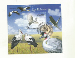 COMORES BLOC EMIS EN 2011 LES ECHASSIERS OBLITERE SUPERBE. - Storks & Long-legged Wading Birds