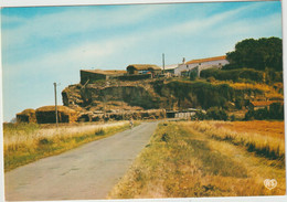 Vendée : SAINT  MICHEL  De L ' Herm : Rocher De La  Dives - Saint Michel En L'Herm