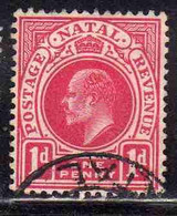 NATAL SOUTH AFRICA SUD AFRICA 1902 1903 KING EDWARD VII RE EDOARDO ONE PENNY 1p USATO USED OBLITERE' - Natal (1857-1909)
