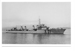 Carte Photo 9x14cm. - Bateau, Navire De Guerre -	Contre-torpilleur "Guépard" - Krieg