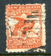 New Zealand 1902-07 Pictorials - Wmk. NZ & Star - P.11 - 1/- Kea & Kaka Used (SG 315) - Shade - Oblitérés