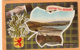 Isle Of Arran UK 1906 Postcard - Ayrshire