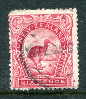 New Zealand 1902-07 Pictorials - Wmk. NZ & Star - P.14 - 6d Kiwi Used (SG 324) - Oblitérés
