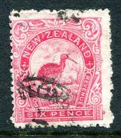 New Zealand 1902-07 Pictorials - Wmk. NZ & Star - P.14 - 6d Kiwi Used (SG 324) - Oblitérés