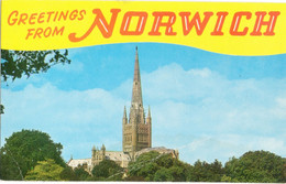 Norwich -Norman Cathedral - Spire 315ft High - 1975 Franking- Postal Slogan- "Make Friends With A Deaf Child"-(E.Joyce) - Norwich