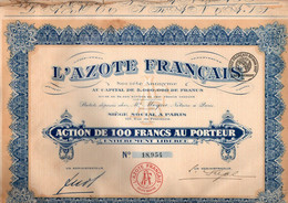 ACTION L'AZOTE FRANCAIS - Industrie