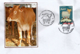 2022 ,La Vache Brune , La Vaca Marrón (Vaca Bruna)  FDC Andorra La Vella  27-05-2022 - Covers & Documents