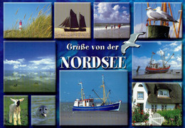 Germany  # Ansichtskarte Gebraucht / View Card Used (X1494) - Nordfriesland