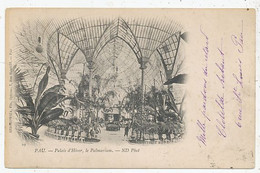CPA CARTE POSTALE FRANCE 64 PAU PALAIS D' HIVER LE PALMARIUM 1902 - Unclassified