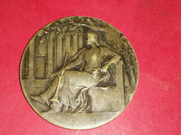 MÉDAILLE BRONZE ARGENTE 43 Gr SOCIETE CANNINE DE PICARDIE Graveur RASUMNY 46 Mm - Adel