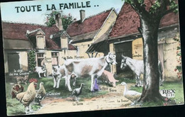 LA FERME - A Systèmes