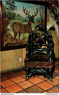 Texas San Antonio Buckhorn Hall Of Horns Teddy Roosevelt's Chair - San Antonio