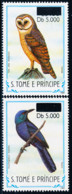 S Tomé E Príncipe - 2000 - Birds / 1983 Type - MNH - Sao Tome And Principe