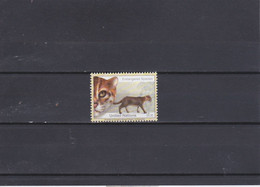 UNITED NATIONS (NEW-YORK) 2013 FLAT HEADED CAT.MNH - Sonstige & Ohne Zuordnung