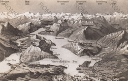 CARTOLINA  VIERWALDSTATTER SEE (LAGO DI QUATTRO CANTONI),SVIZZERA,VIAGGIATA 1954 - St. Anton