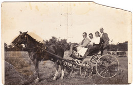 Antique Photo - PC Size - Mangalia - Romania - Friends In Horse Carriage - Old (before 1900)