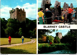 Ireland Co Cork Blarney Castle Multi View - Cork