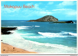 Hawaii Oahu Makapuu Beach - Oahu