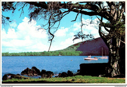 Hawaii Kona Coast Kaelakekua Bay - Big Island Of Hawaii