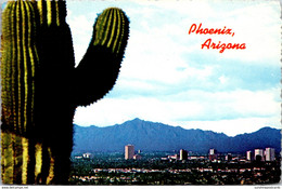 Arizona Phoenix North Central Avenue With Giant Saguaro Cactus - Phoenix