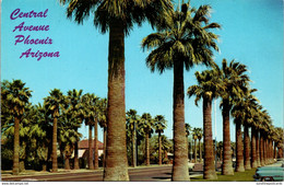 Arizona Phoenix Palm Lined Central Avenue - Phönix