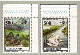 Yugoslavia 1992, Bird, Birds, Set Of 2v, MNH** - Pélicans