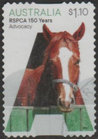 AUSTRALIA - DIE-CUT- USED 2021 $1.10 RSPCA 150 Years Of Caring And Protecting - Advocacy - Horse - Usados