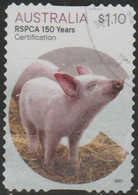 AUSTRALIA - DIE-CUT- USED 2021 $1.10 RSPCA 150 Years Of Caring And Protecting - Certification - Pig - Oblitérés