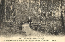 9666 CPA Forêt Du Gavre - Le Gavre