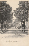 CPA-83-LES ARCS-Boulevard Des Maronniers-Animée - Les Arcs