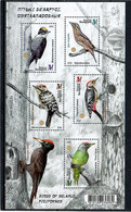 Belarus 2022 .  Fauna. Birds. Woodpeckers . S/S - Belarus