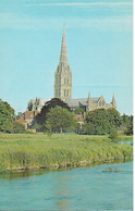 SALISBURY CATHEDRAL, SALISBURY, WILTSHIRE, ENGLAND. UNUSED POSTCARD   Tw1 - Salisbury