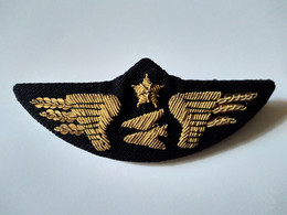 Aviation Militaria - Aile De Casquette Armement DGA - TBE - Stoffabzeichen