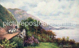 AT ABERDOVEY OLD COLOUR ART POSTCARD TUCK OILETTE 6233 WALES - Merionethshire