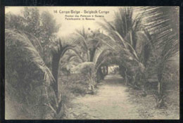 CONGO BELGE(1919) Palmiers. Entier à 10 Centimes Avec Illustration De L'Avenue Des Palmiers. - Stamped Stationery