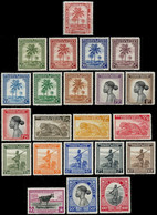 228/248** - Palmiers & Sujets Divers / Palmen En Diverse Onderwerpen / Palmen & Verschiedene Themen - CONGO - 1923-44: Mint/hinged