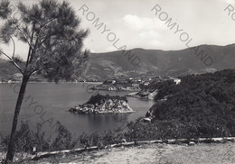 CARTOLINA  ISOLA D"ELBA-PROCCHIO,LIVORNO,TOSCANA,SCOGLIO "LA PAOLINA",MARE,SOLE,SPIAGGIA,LUNGOMARE,ESTATE,VIAGGIATA 1960 - Livorno