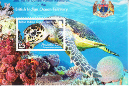 2016 British Indian Ocean Territory Se Turtle Conservation Souvenir Sheet MNH - Britisches Territorium Im Indischen Ozean