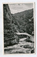 AK 063758 GERMANY - Bodetal / Harz - Jungfernbrücke Am Hirschgrund - Unterharz