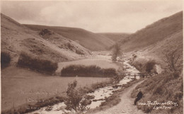 Lynton UK, The Doone Glen, C1900s/10s Vintage Real Photo Postcard - Lynmouth & Lynton