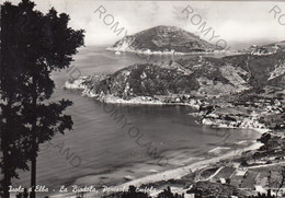 CARTOLINA  ISOLA D"ELBA,LIVORNO,TOSCANA,LA BIODOLA,PENISOLA,ENFOLA,ISOLA,MARE,SOLE,ESTATE,VACANZA,VIAGGIATA 1961 - Livorno