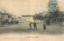 79 Beauvoir Sur Niort, La Place, Charrettes De Fagots, Chariot Bâché ..., Affranchie 1904 - Beauvoir Sur Niort