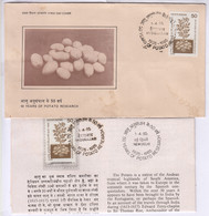 Stamped Info., + FDC Potato Research India 1985, Plant, For Food, Minerals / Vitamins, For Health, Science, Agriculture - Vegetables